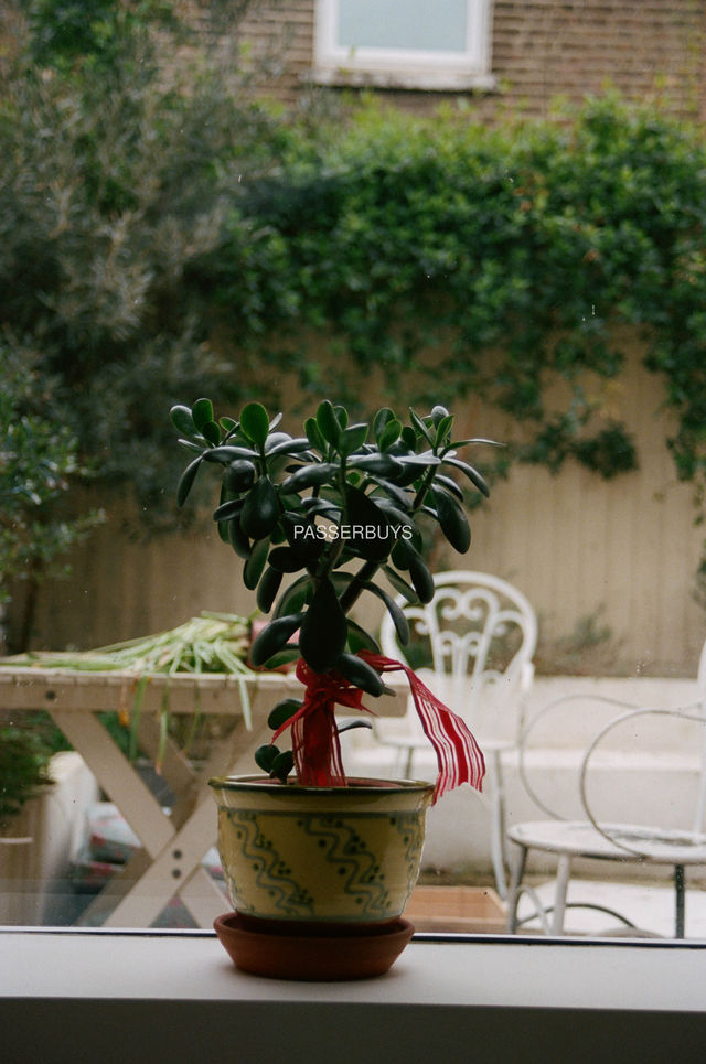 KimIngforPasserbuysbyClemencePoles15